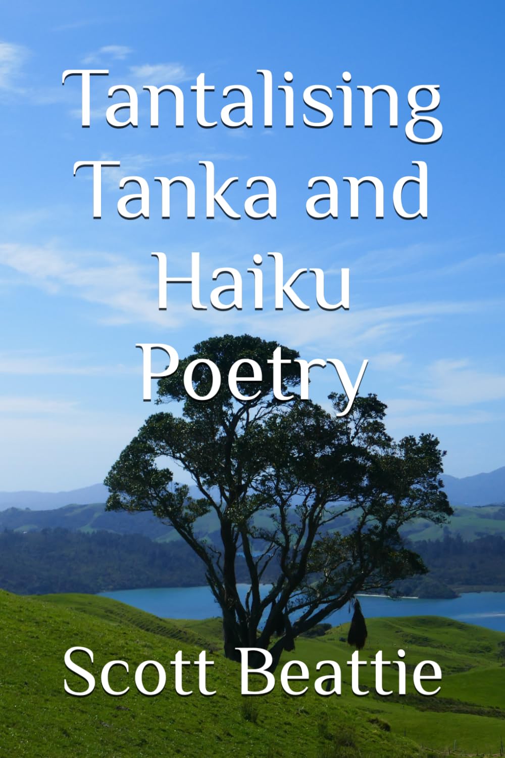 Tantalising Tanka and Haiku Poetry