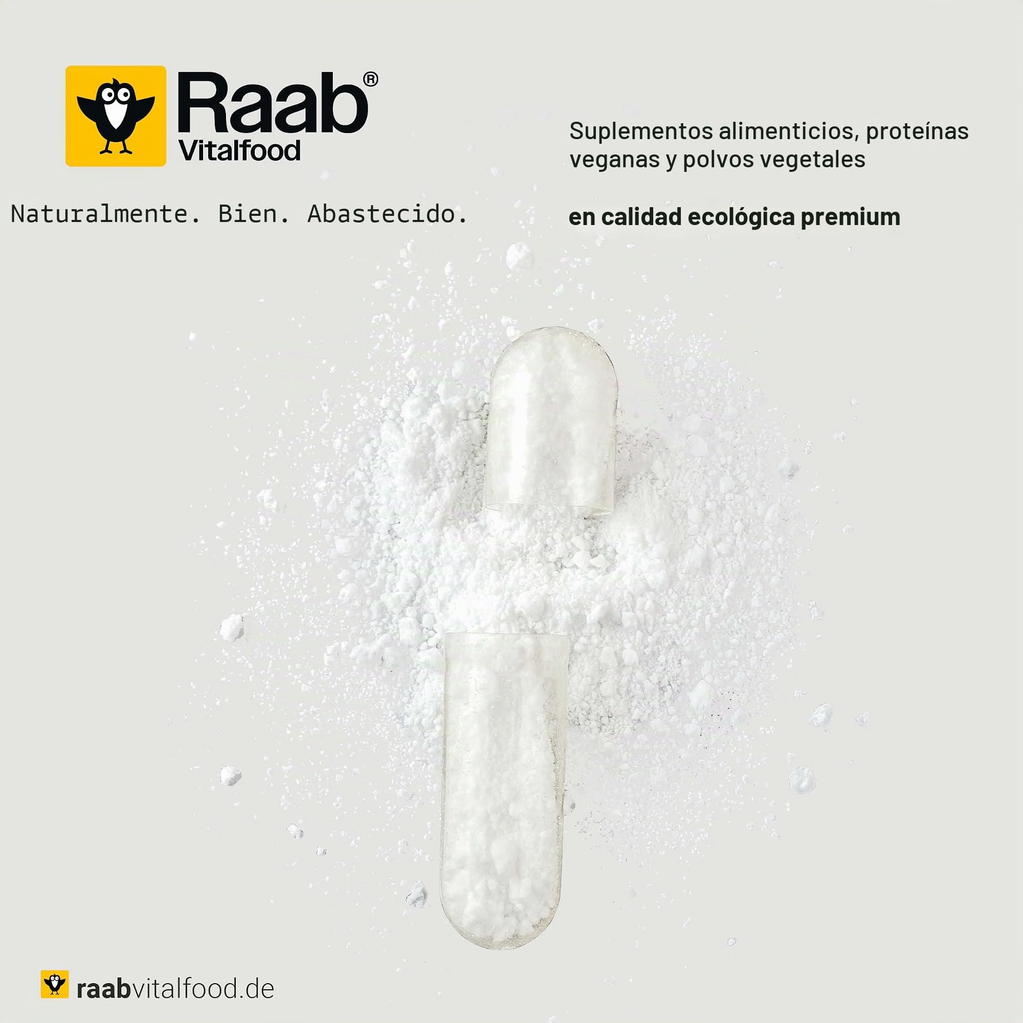 Raab Vitalfood Electrolitos Pur (170 g) - Electrolitos sin azúcar y sin edulcorantes, perfecto para deportistas en caso de pérdida de líquidos, vegano, con cuchara medidora, para músculos, nervios