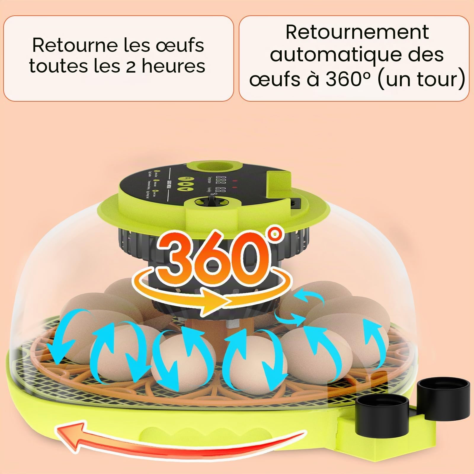 Couveuse Oeuf Automatique 12 Œufs, avec Alimentation en Eau, Retourneur Œufs Automatique, Contrôle Température et Humidité, Testeur Œufs, Vision à 360°, pour Poules, Cailles et Canards (B)
