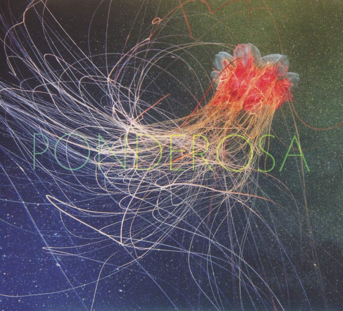 Ponderosa - Pool Party CD Album - Used