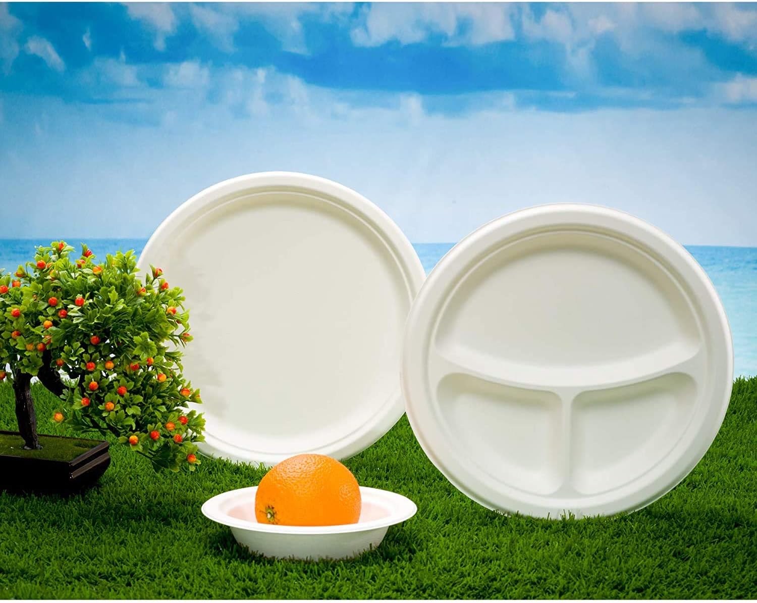 Creative Product Eco-Friendly 100% Compostable Sugarcane / Bagasse Heavy Duty Plates,10 Inch, 100 Count