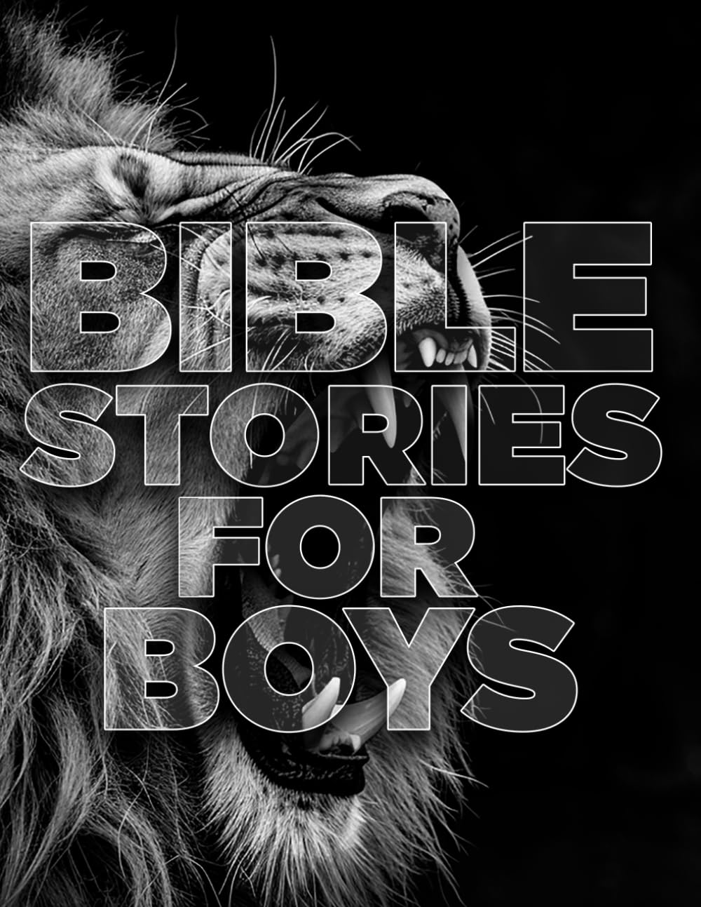 Bible Stories For Boys