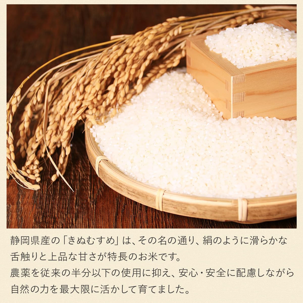 Amazon.co.jp: 令和7年産 新米 減農薬 特別栽培米 きぬむすめ 3kg 農薬 