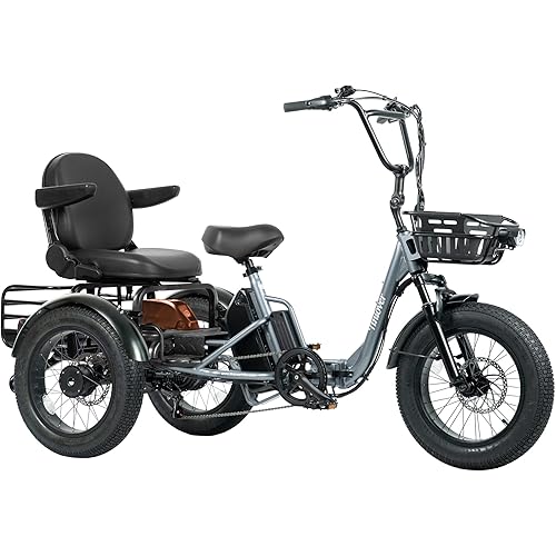 Creek Dual Battery Folding Electric Tricycle for Adults 2 Seater, 20MPH 80 Miles 4" Wide Fat Tire Electric Trike, 3 Wheel Electric Bike 1000W, 48V 15AH Battery, 550LBS Load, Reverse, Parking