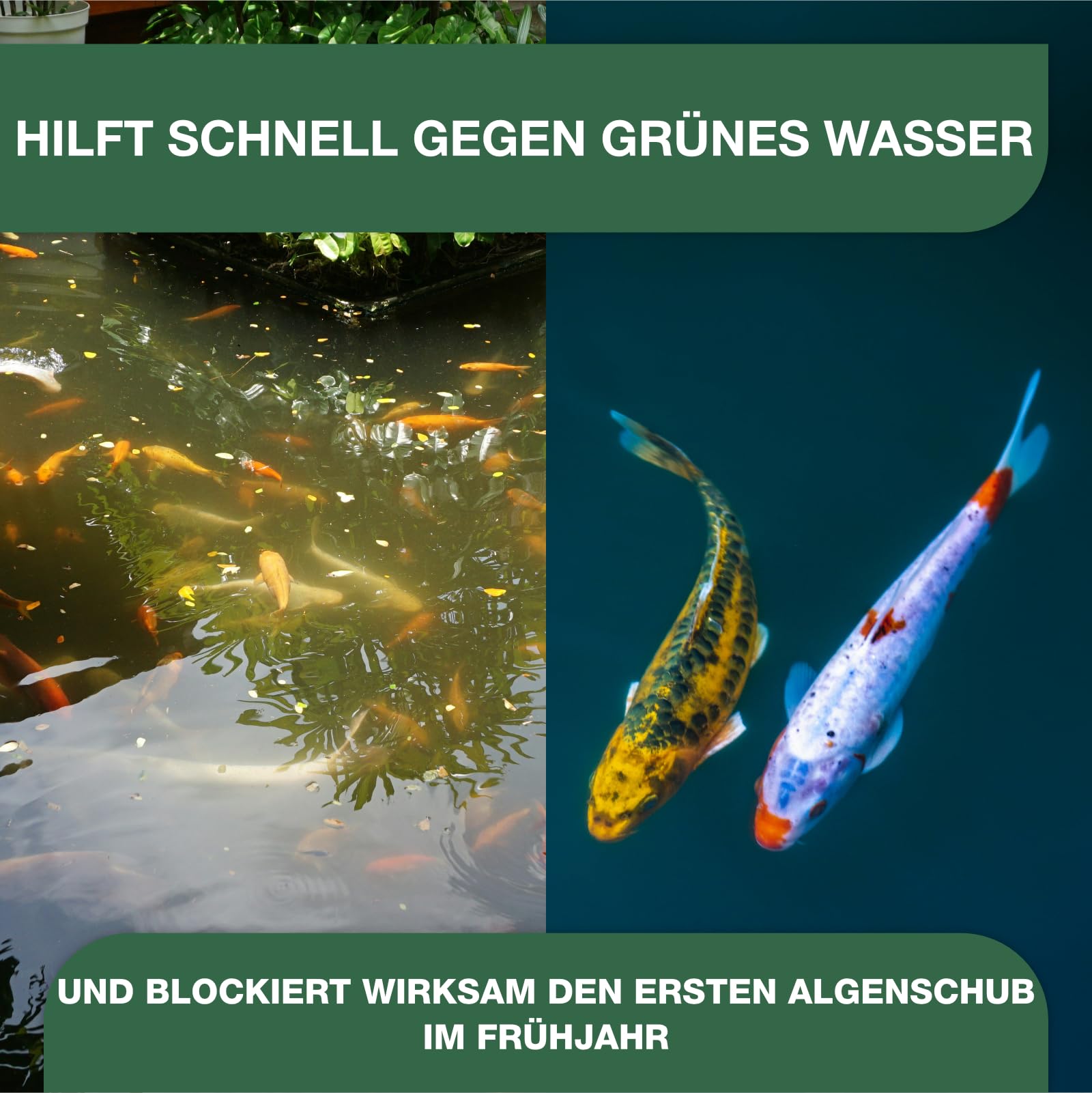 Teichpoint Grünes Wasser Liquid 10l | Flockungsmittel gegen Schwebealgen und Trübungen für schnelle Teichklärung | pH-stabil | Reichweite 200.000 Liter