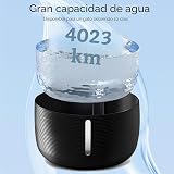 Ver la foto 5