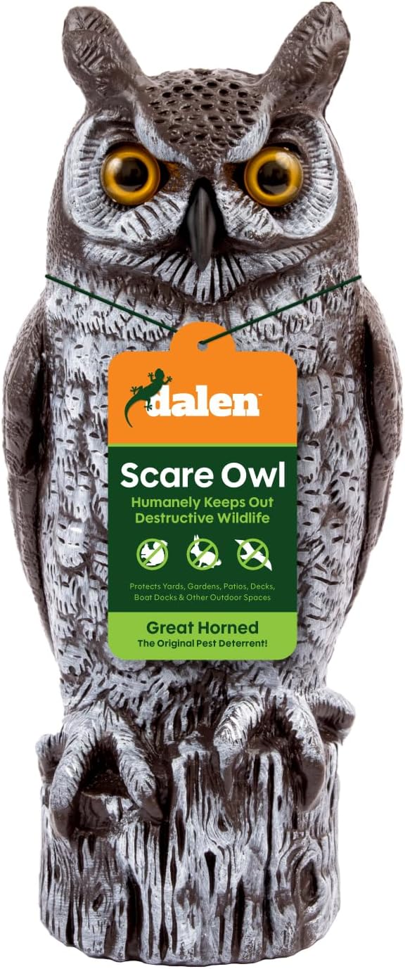Great Horned Owl