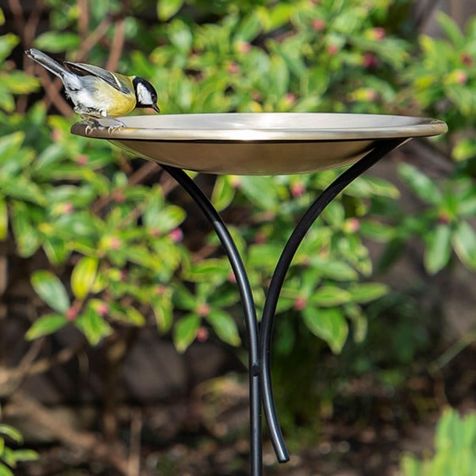 Crocus Black Collection 129Cm Bird Bath Round Bowl On Freestanding Decorative Pole Stake Brushed Brass
