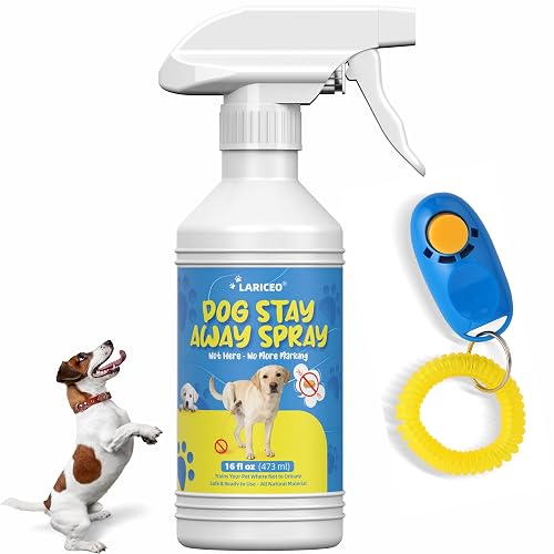 Apple-Scented Dog Potty Training Spray, 16 Fl Oz | Fresh