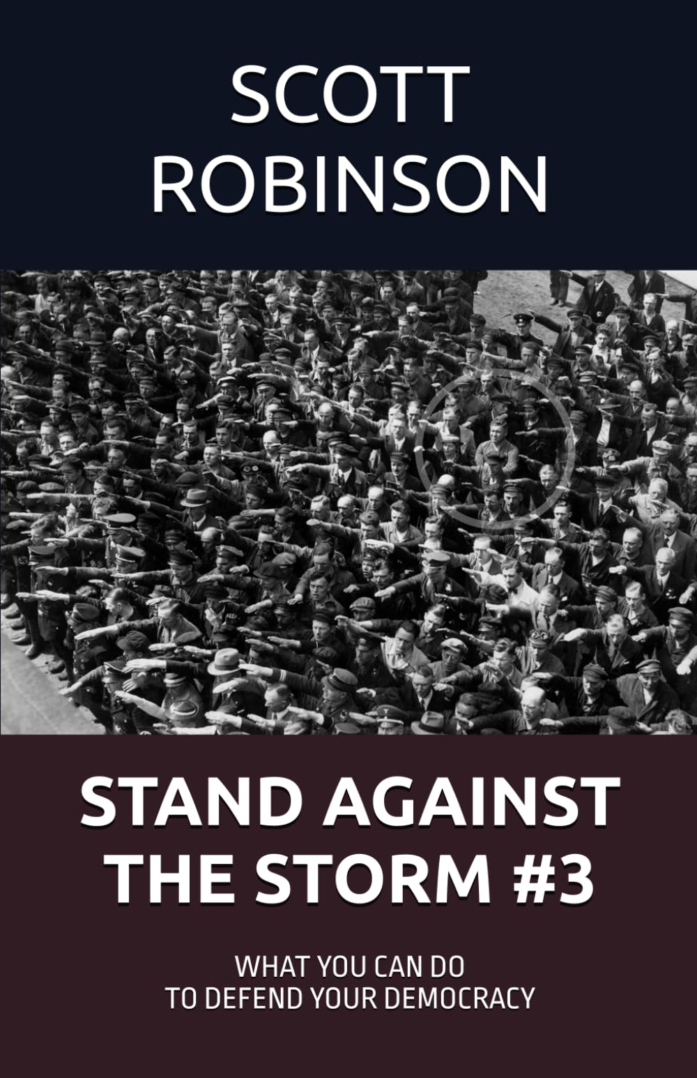 Stand Against the Storm: What You Can Do to Defend Your Democracy: 3