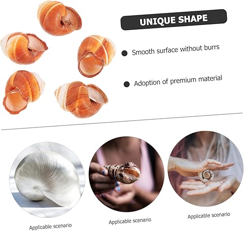 Miniatura 4 de Zerodeko 3 unidades de conchas de caracol francés, conchas naturales de caracol, conchas de caracol, conchas para Escargot, mini conchas de caracol