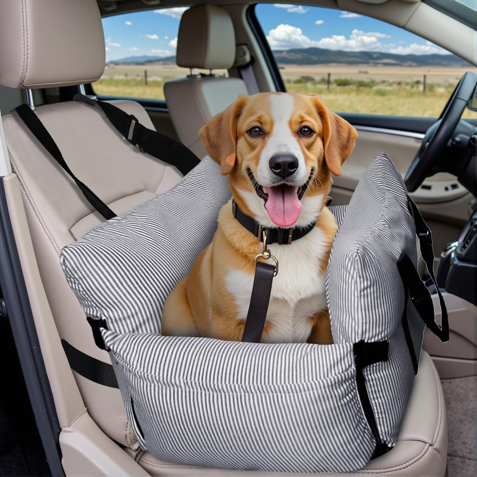 LELEFIDO Dog Car Seat for Small/Medium Dogs Under 40 lbs - Elevated Pet Seat with Safety Belt, Non-Slip Base, and Storage Pockets for Car Travel (Navy, 30 x 20.5 inch)