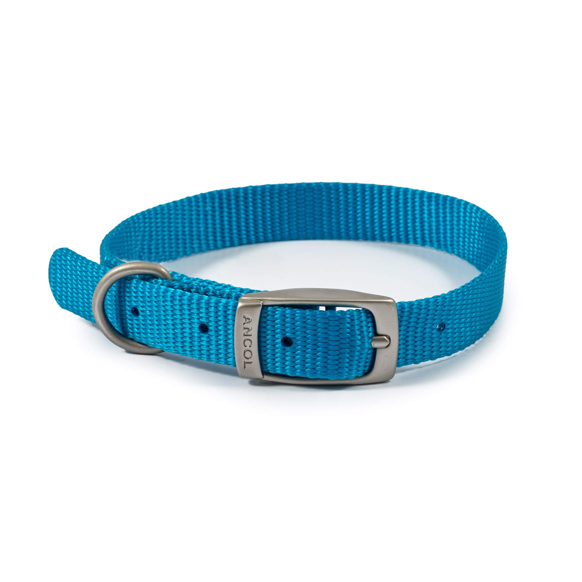 Ancol Viva Lightweight Buckle Collar Blue, Size 1 to fit 20-26 cm, Weather Proof