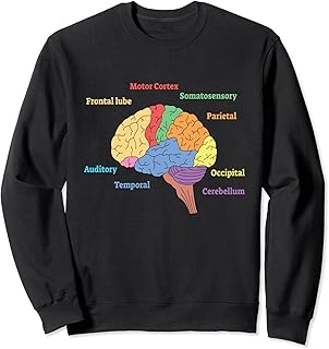 ダイアグラム 脳 I 脳神経学者 脳神経科学 脳 トレーナー