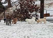 Review Image by Lynn Nixon Lynn Nixon