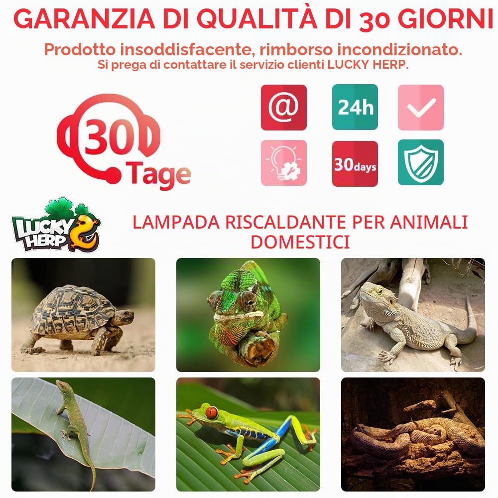 LUCKY HERP Confezione da 2 lampadine riscaldanti per rettili da 100 W, lampadina spot a infrarossi per anfibi, lampada riscaldante per rettili per tartarughe, draghi barbuti, lucertole