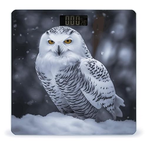 Arctic Owl Weight Scale for Body Weight Digital Bathroom Scale High Capacity Accurate Digital Weighing Scales and Easy-to-Read on Backlit LCD Display