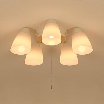 Amazon.co.jp : シャンデリア ペンダントライト 5灯 おしゃれ 北欧 LED