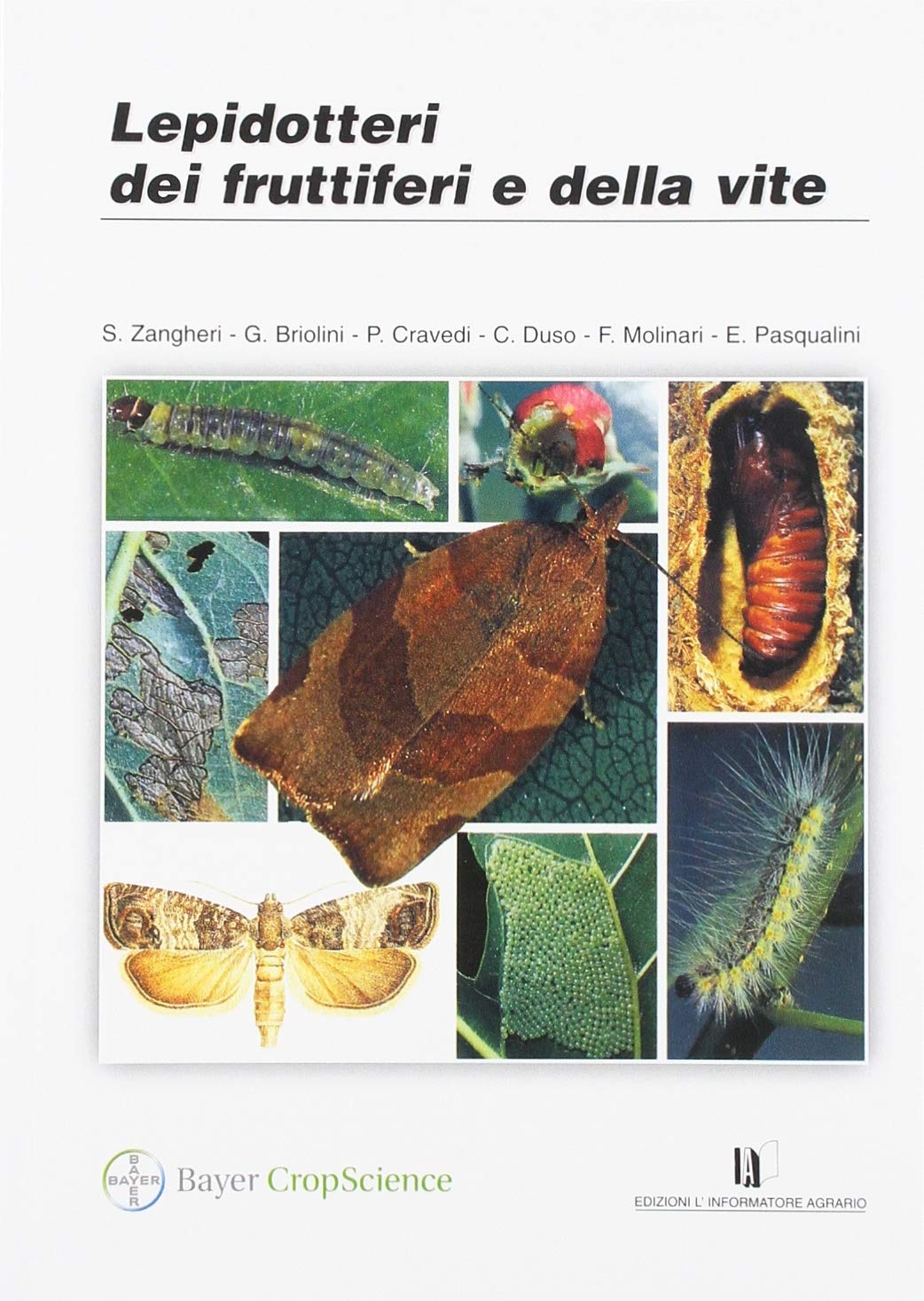 Lepidotteri Dei Fruttiferi E Della Vite - 4