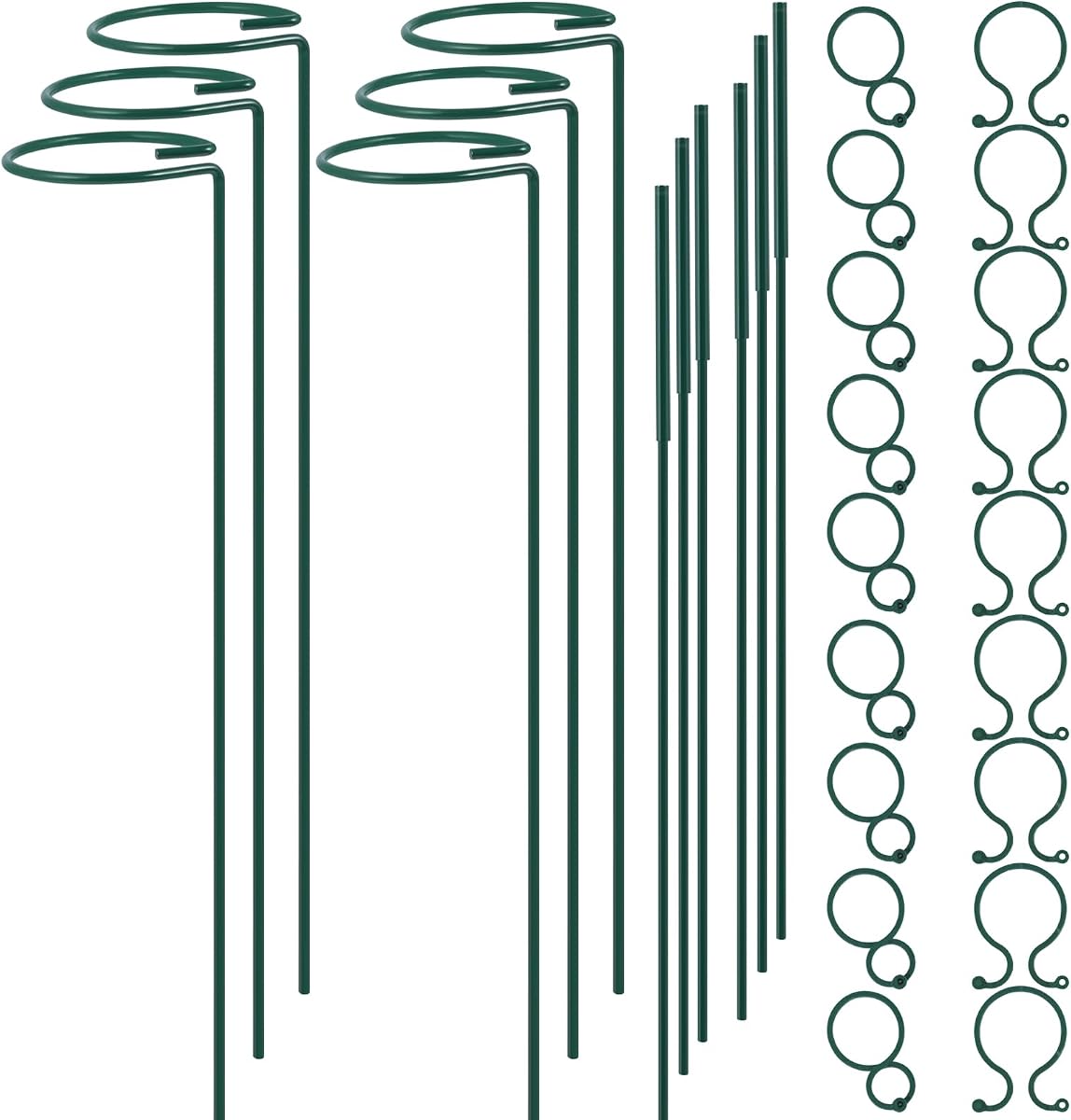 Plant Stake Support, Adjustable Height 12" or 24" for Garden Support Stake | 6 Pack Plant Cage Support Rings, Single Stem Plant Support Stakes, for Flowers Amaryllis Tomatoes Peony Lily Rose(24inch)