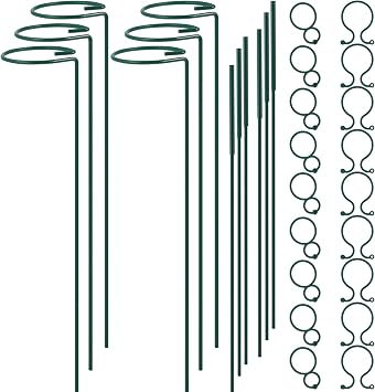 Plant Stake Support - 6 Pack Adjustable Height 12" or 24", Garden Support Stake Plant Cage Support Rings, Single Stem Plant Support Stakes, for Flowers Amaryllis Tomatoes Peony Lily Rose 24inch