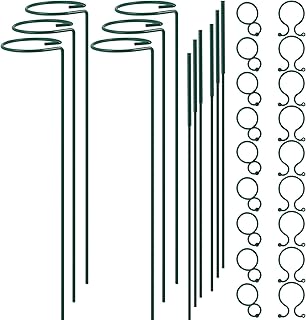 Plant Adjustable Plant Support Stakes (6-Pack)