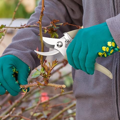Vista 12 de Therwen 12 tijeras de jardín, tijeras de podar de flores, tijeras de podar florales, podadoras de mano, cortador de ramas, herramientas