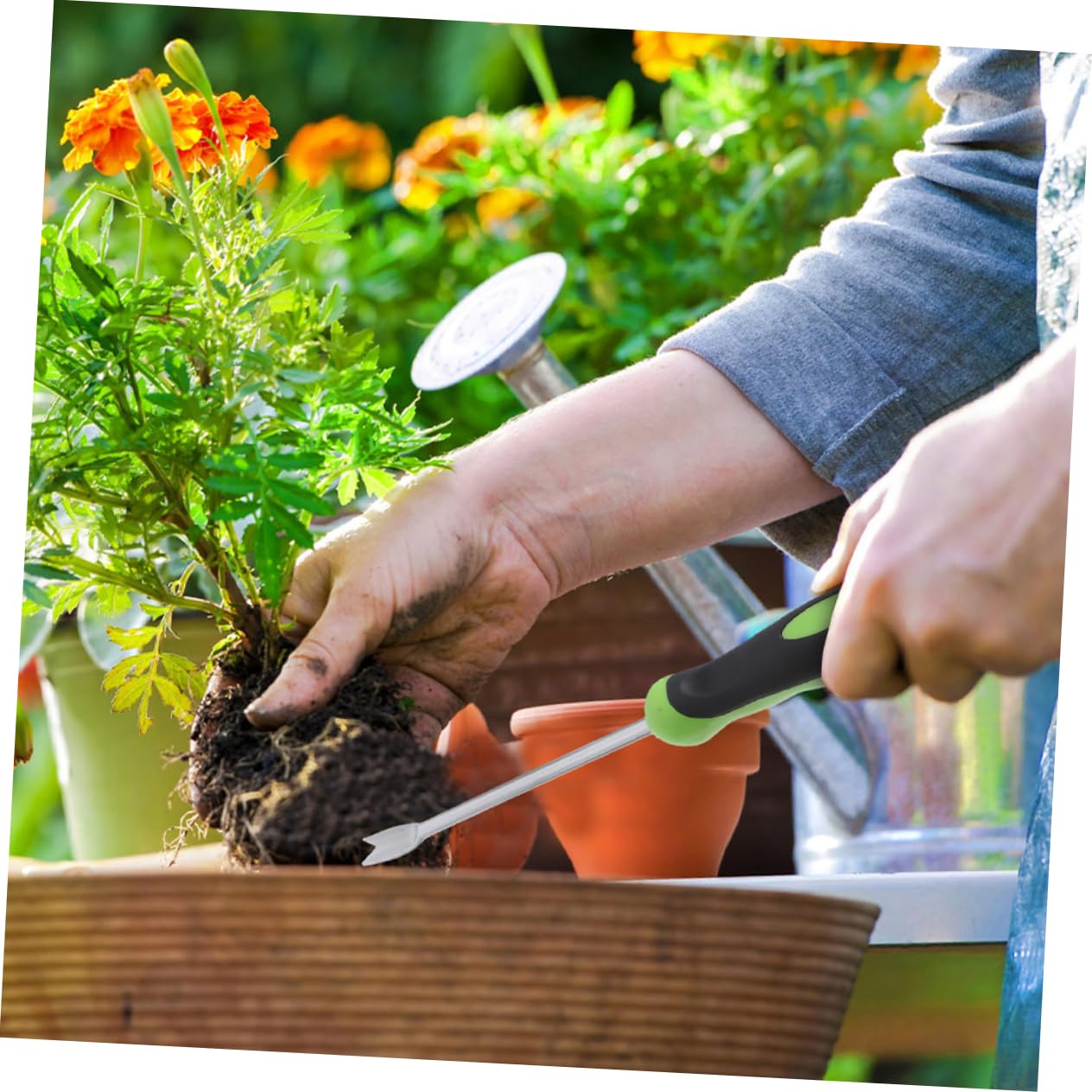 POPETPOP 4piezas Herramienta De Jardinería Manual Para Remover Malezas Extractor De Plantas De Inoxidable Pala De Jardín Para Aflojar Suelo y Desyerbar Huertos y Jardines