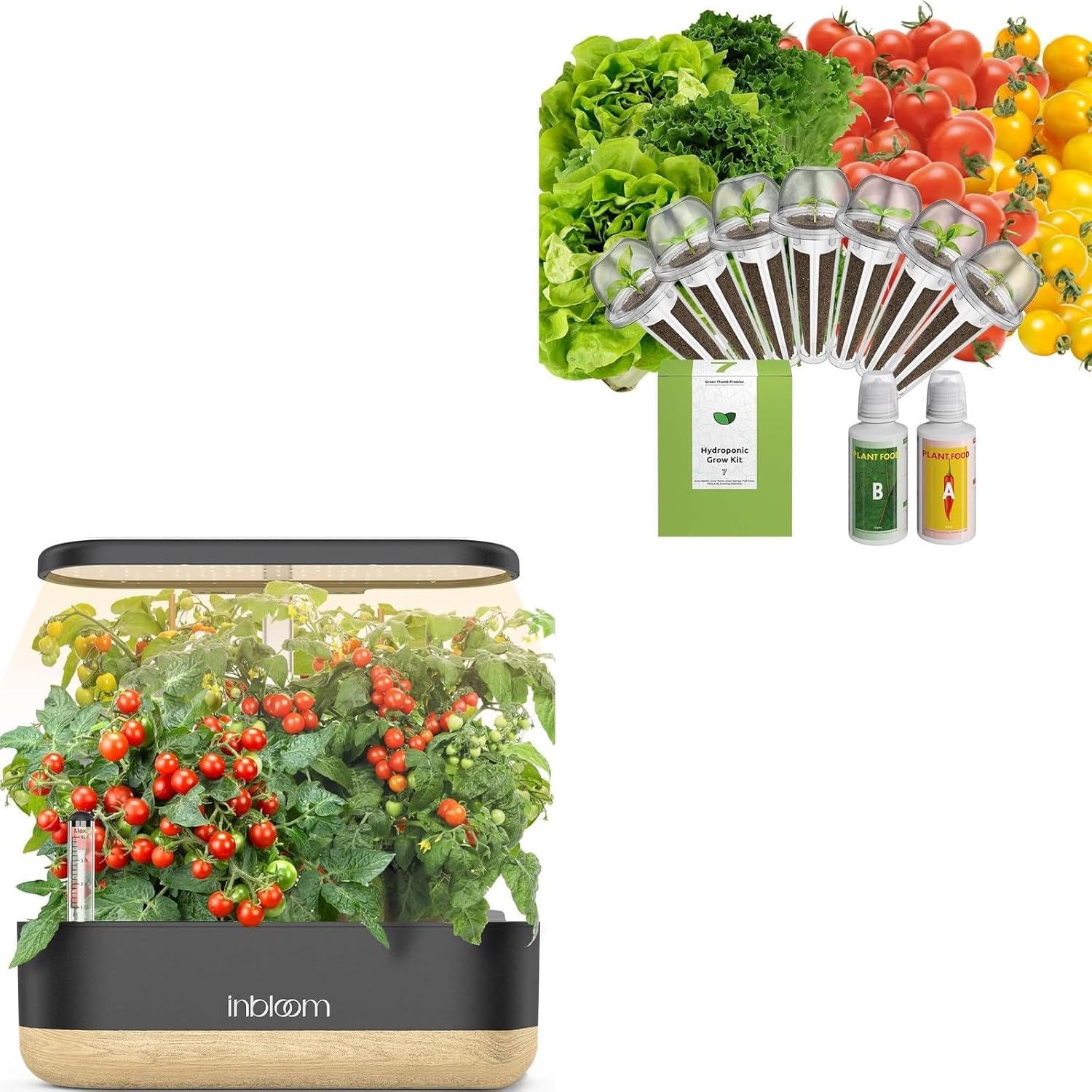 inbloom Hydroponics Growing System 12 Pods and Organic Salad Seed Pod Kit