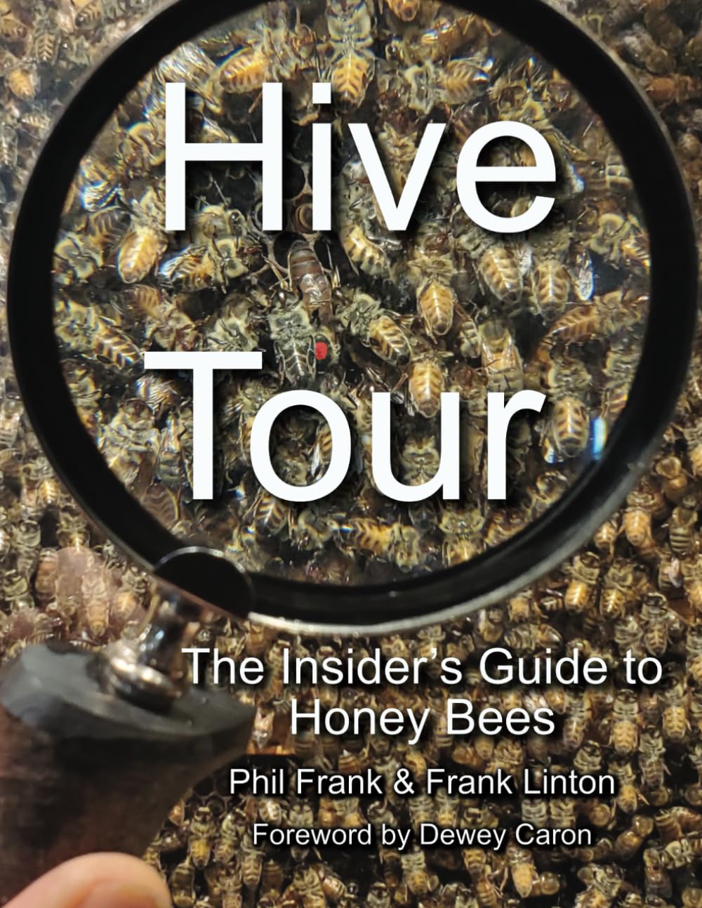 Hive Tour: The Insider’s Guide to Honey Bees