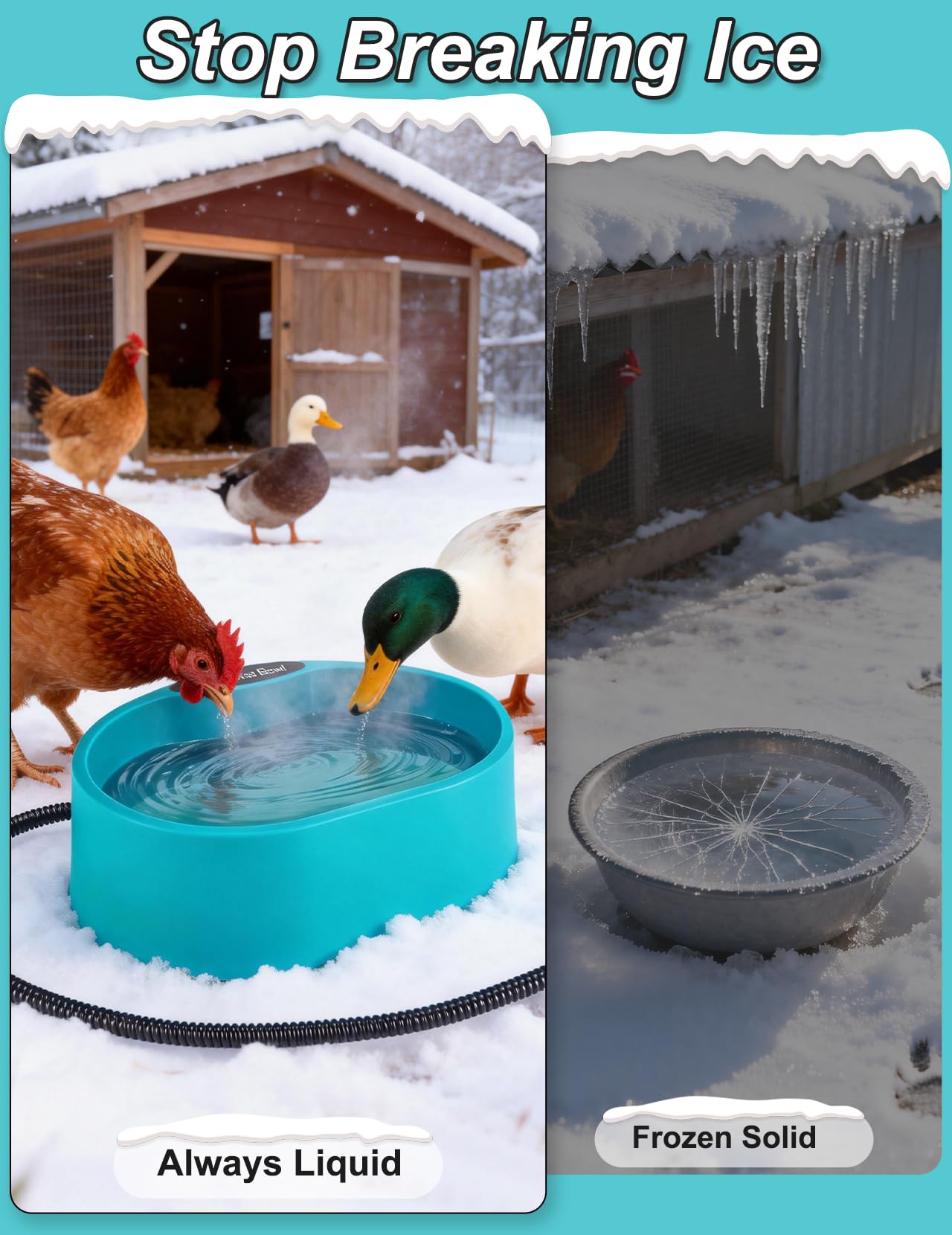 Abreuvoir chauffant à poulet de 3,543 g pour poules, canards, oies - Résistant à l'hiver - Abreuvoir chauffant automatique pour poulailler - Fini l'eau gelée