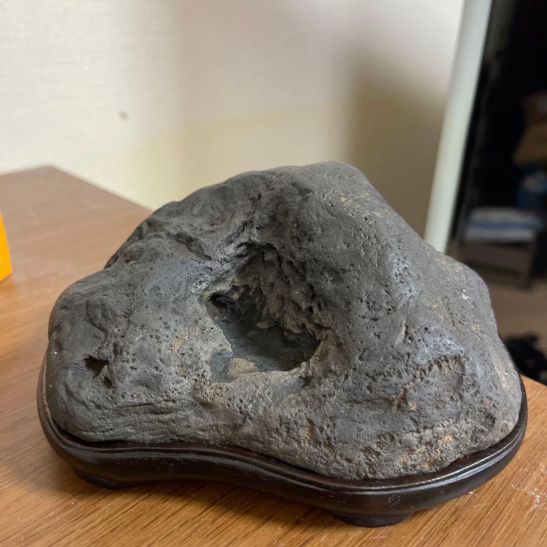 Amazon｜八海山石 黒い水石 台座付き 自然石｜観葉植物 オンライン通販