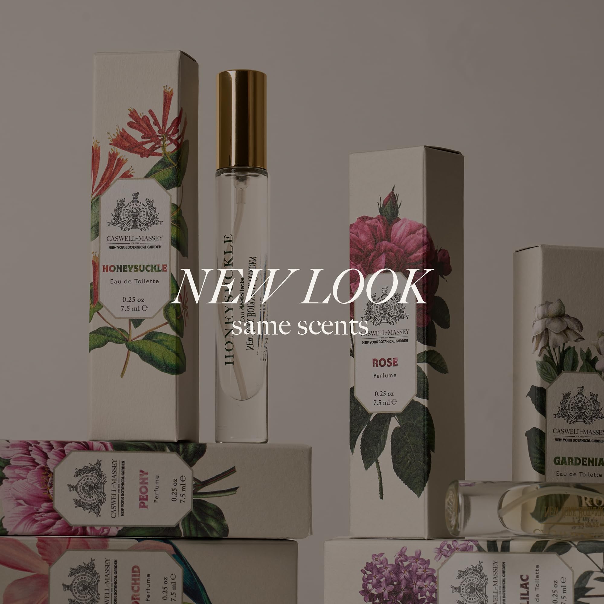 Amazon.com : Caswell-Massey Rose Perfume Spray, Classic Floral for