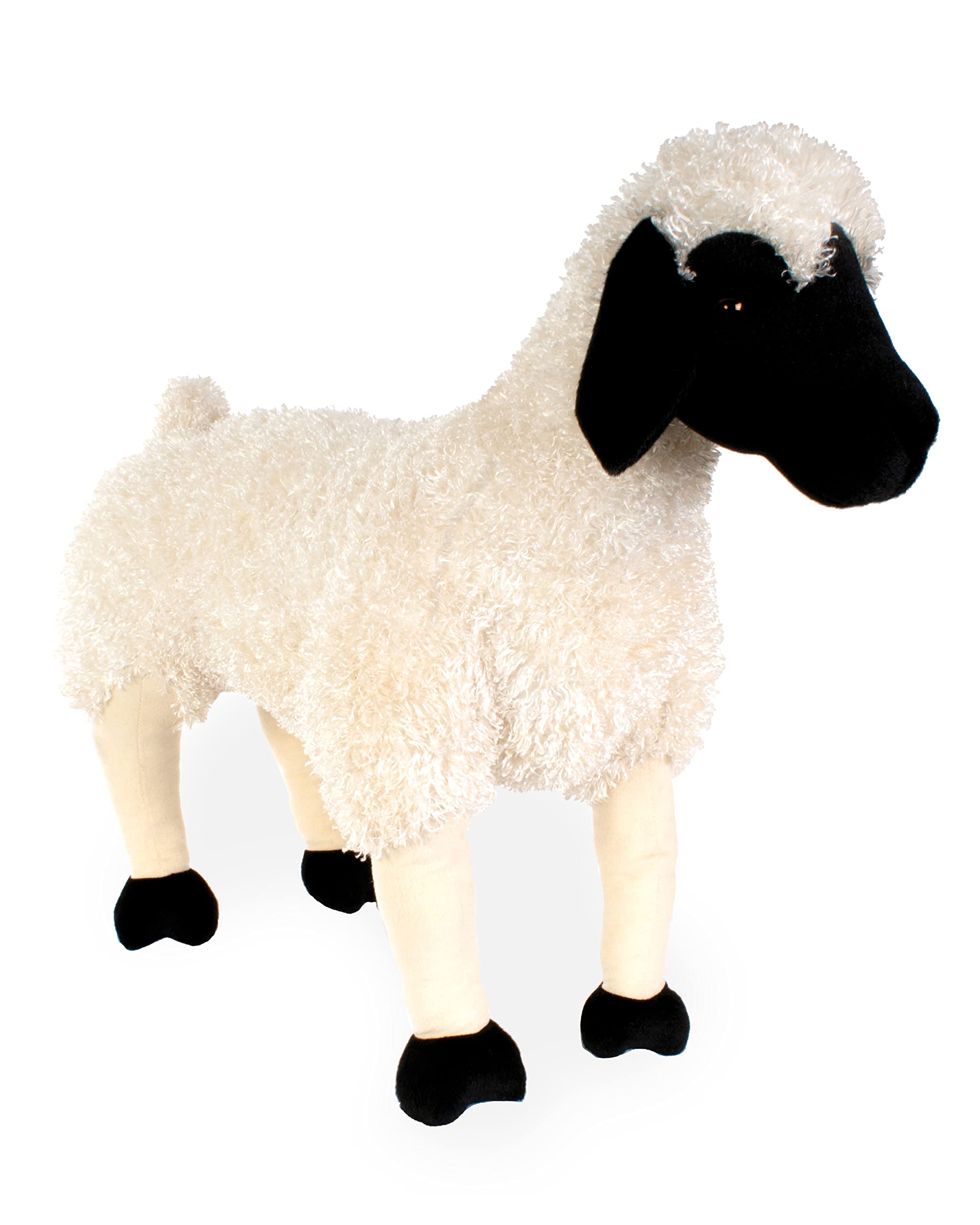 Amazon.com: Real Planet 28.75