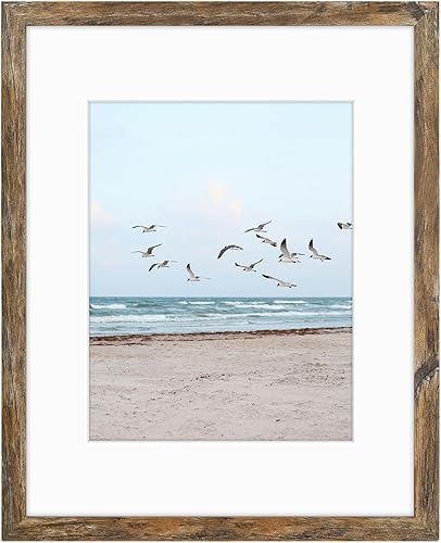 Vista 360 de Frametory, Los marcos de 16 x 20 pulgadas muestran imágenes de 11 x 14 pulgadas con paspartú o fotos de 16 x 20 pulgadas sin paspartú, vidrio Plata