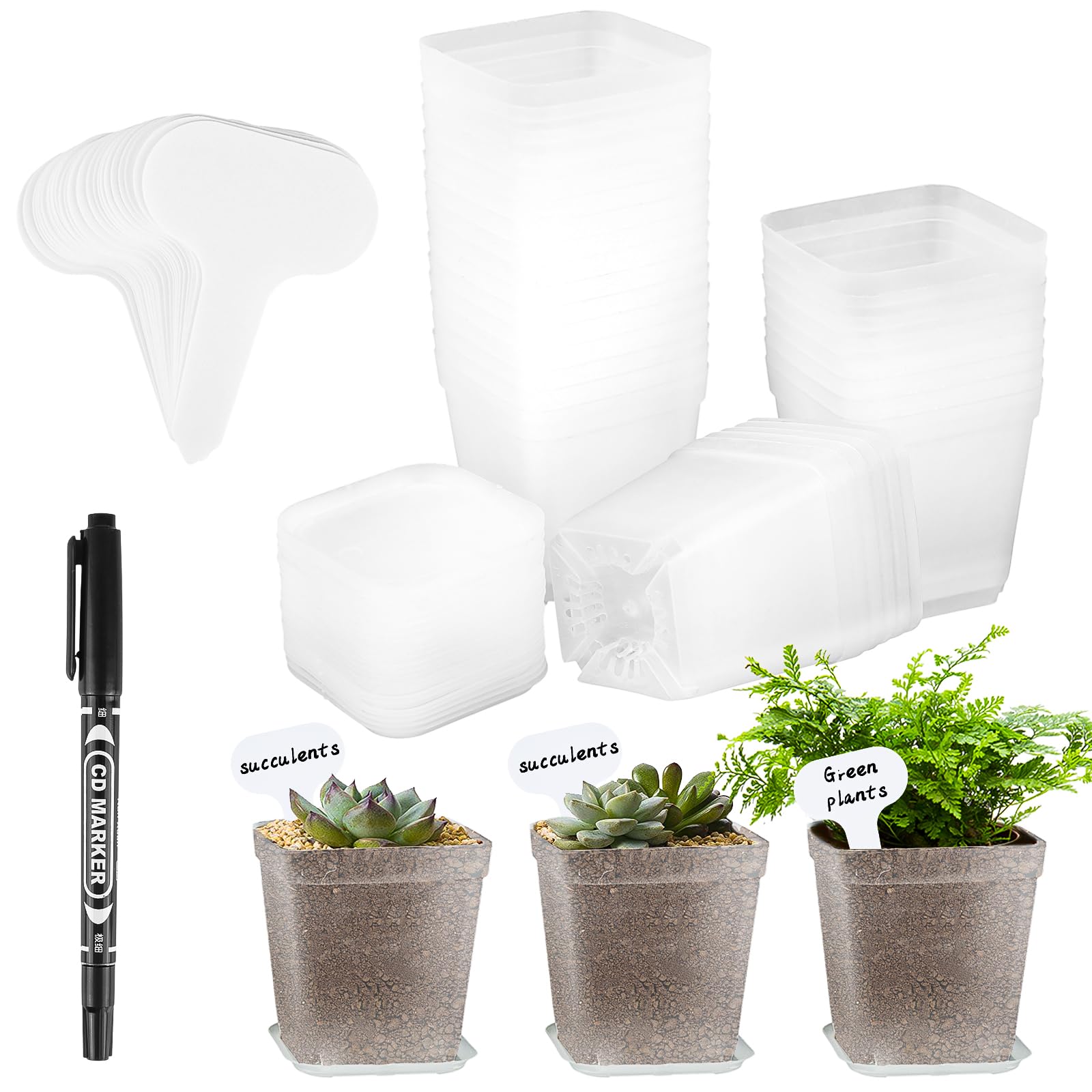 fengxuanwl 30 Stück Anzuchttöpfe, Transparente Pflanztöpfe mit Untersetzer, Ø 7cm Kunststoff Vierkant Mini Töpfe, Anzucht Ackig Klein für Samen, Sukkulenten, Setzlinge (Weiß)