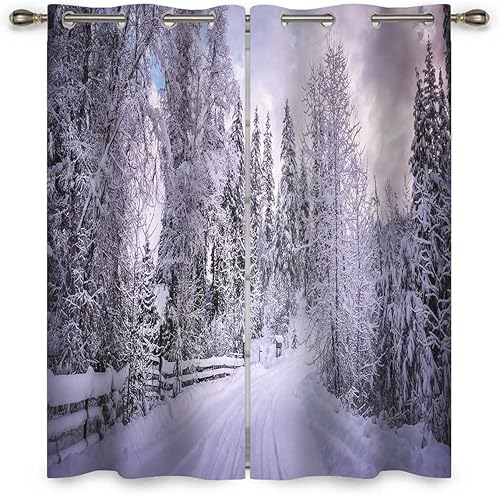 Miniatura 2 de Cortinas de fotografía escénica para habitación de 2 paneles de cortinas insonorizadas decoración de habitación oscura de 55 pulgadas de ancho x 55