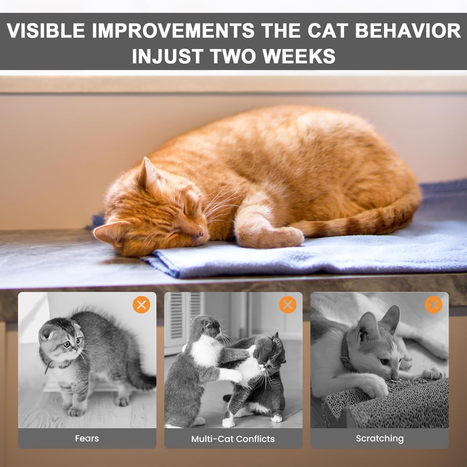 Diffusore Rilassante Gatto,Soluzione Feromone Presa con 2 Ricariche - Sollievo Stress Gatti, Riduce Graffi & Minzione Inappropriata, Copertura Continua 30 Giorni