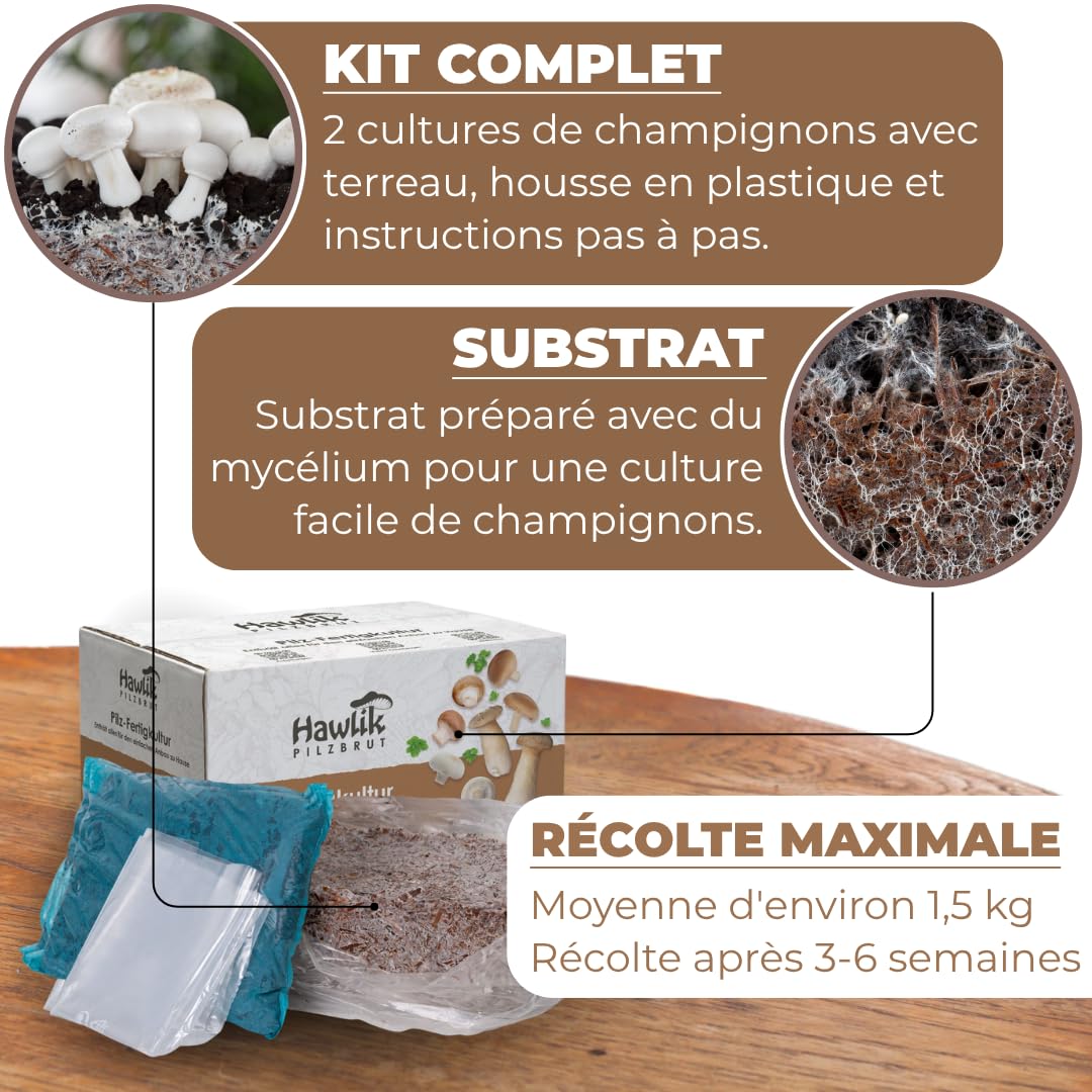 Hawlik Pilzbrut - Petite culture de champignons de Paris brun à cultiver - sans connaissances préalables - Kit champignons à faire pousser à la maison - Kit Champignon de Paris - Prêt à pousser