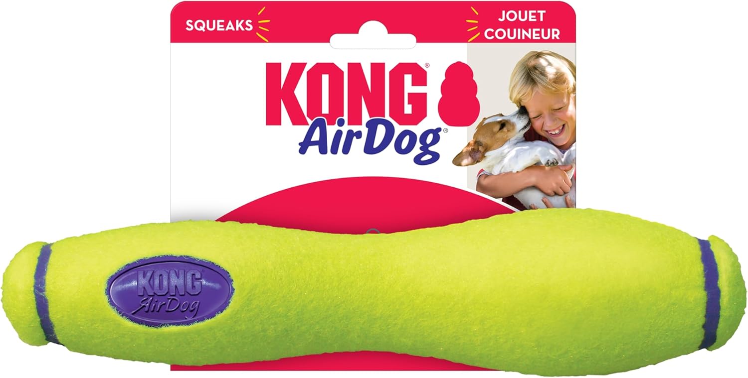 Kong Company ASST1 Air Kong Squeaker Dog Toy (並行輸入品)