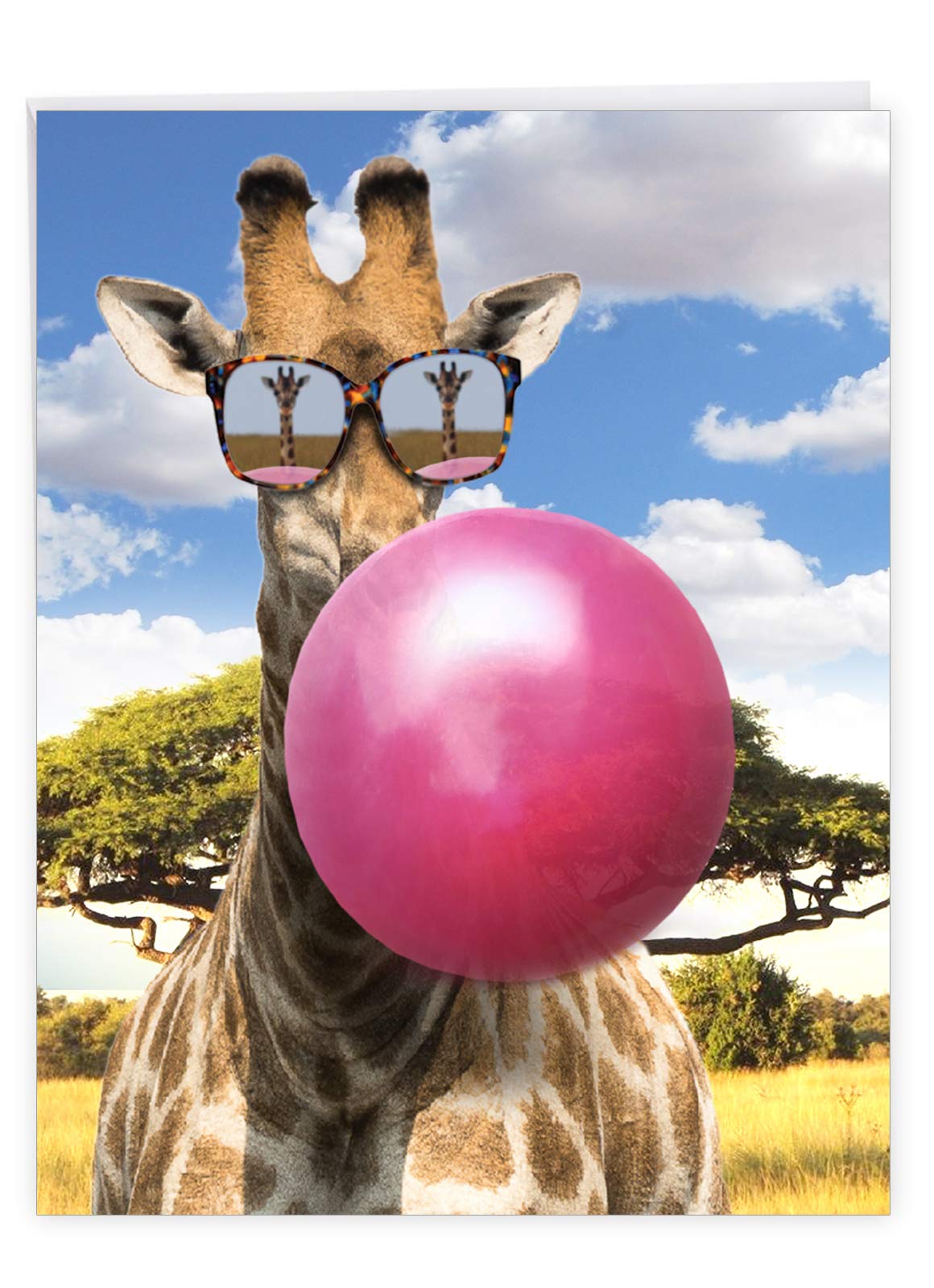 The Best Card CompanyThe Best Card Company MP Jumb Bday catdog