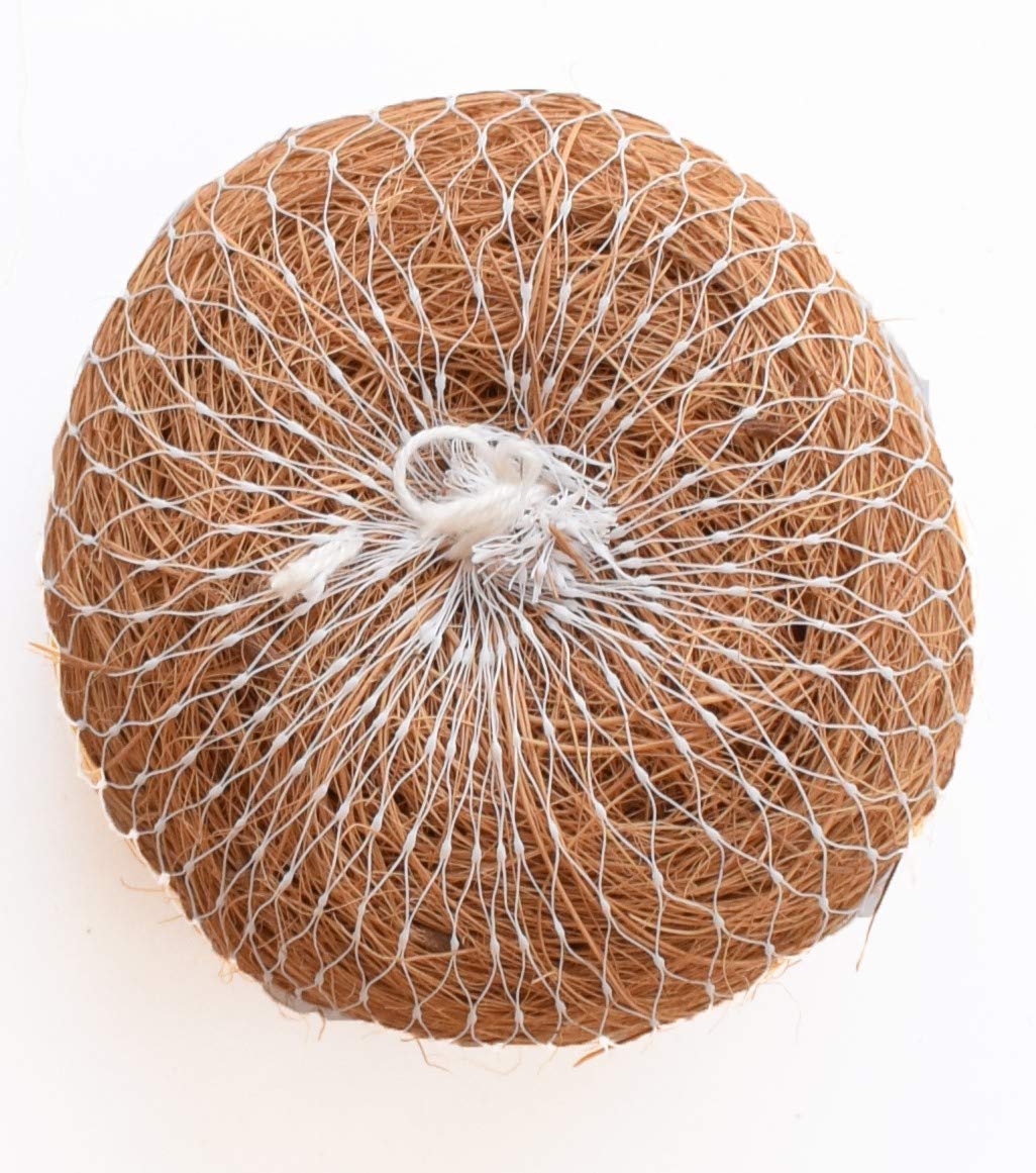 QZONNatureLoc Coconut Fibre Coir Body Bath Scrubber (Beige, Standard Size)