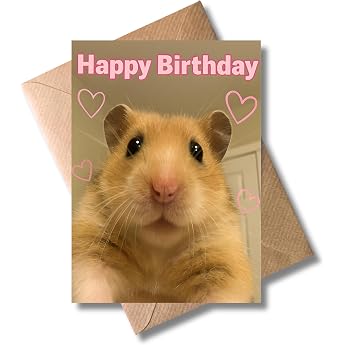 WBdesignz Birthday Card with Hamster Happy Birthday with Envelope - Cute Greeting Card with Hearts for Girlfriends Friends & Animal Lovers - Funny Birthday Card DIN A6