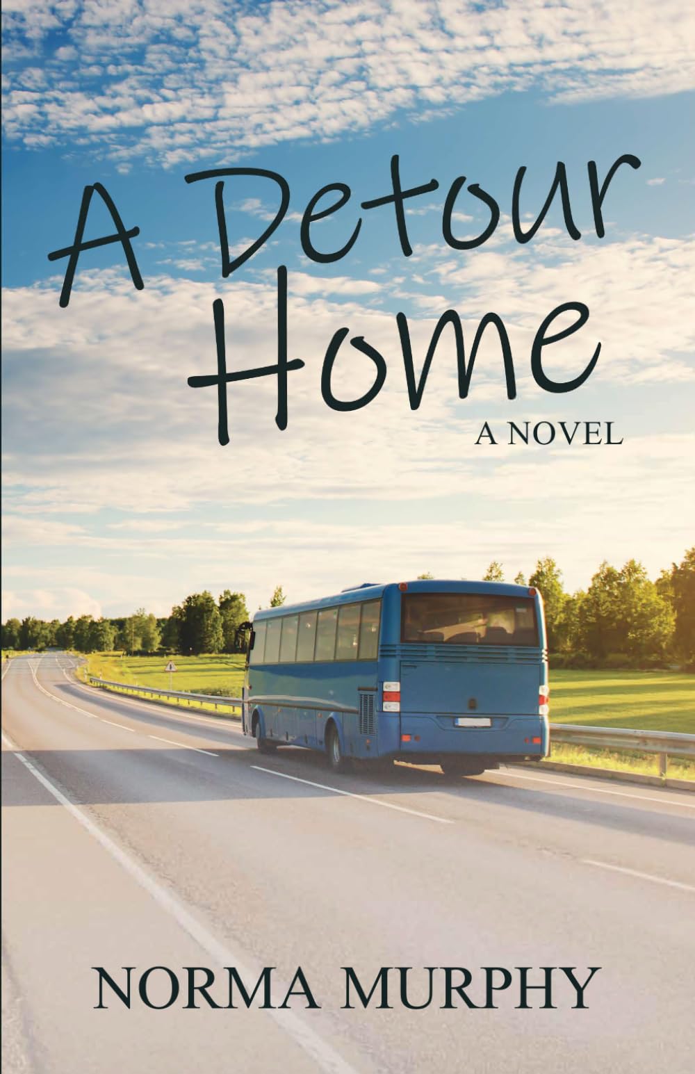 A Detour Home: A Novel
