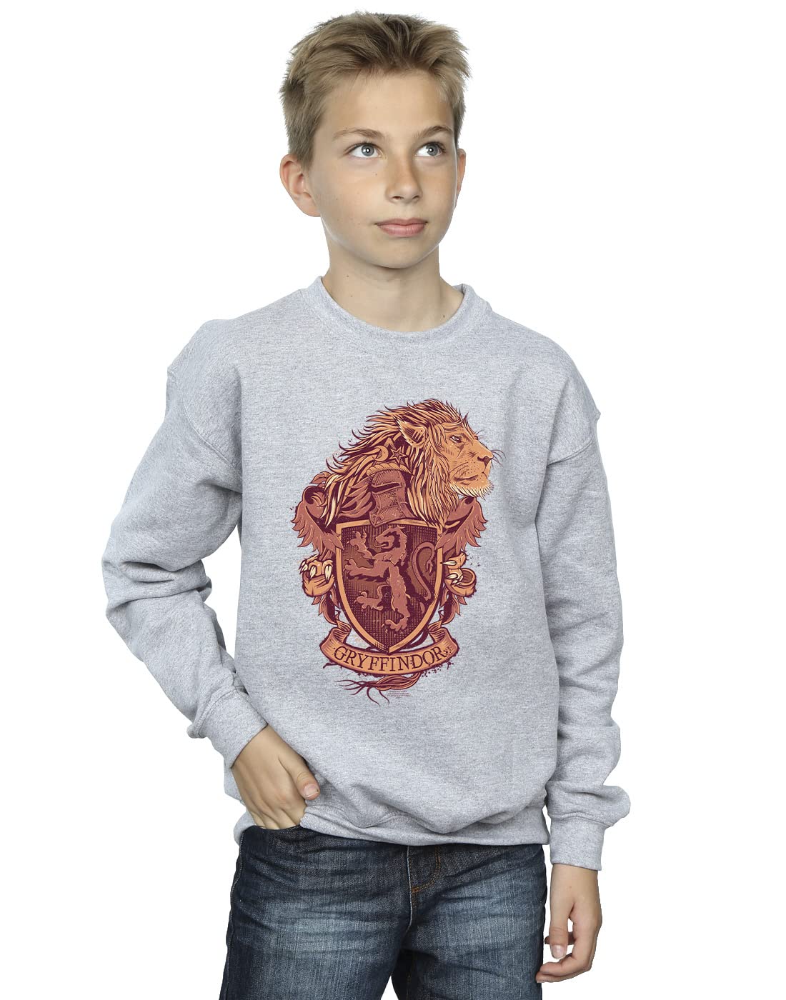 Harry Potter Boys Gryffindor Sketch Crest Sweatshirt Sport Grey 5-6 Years