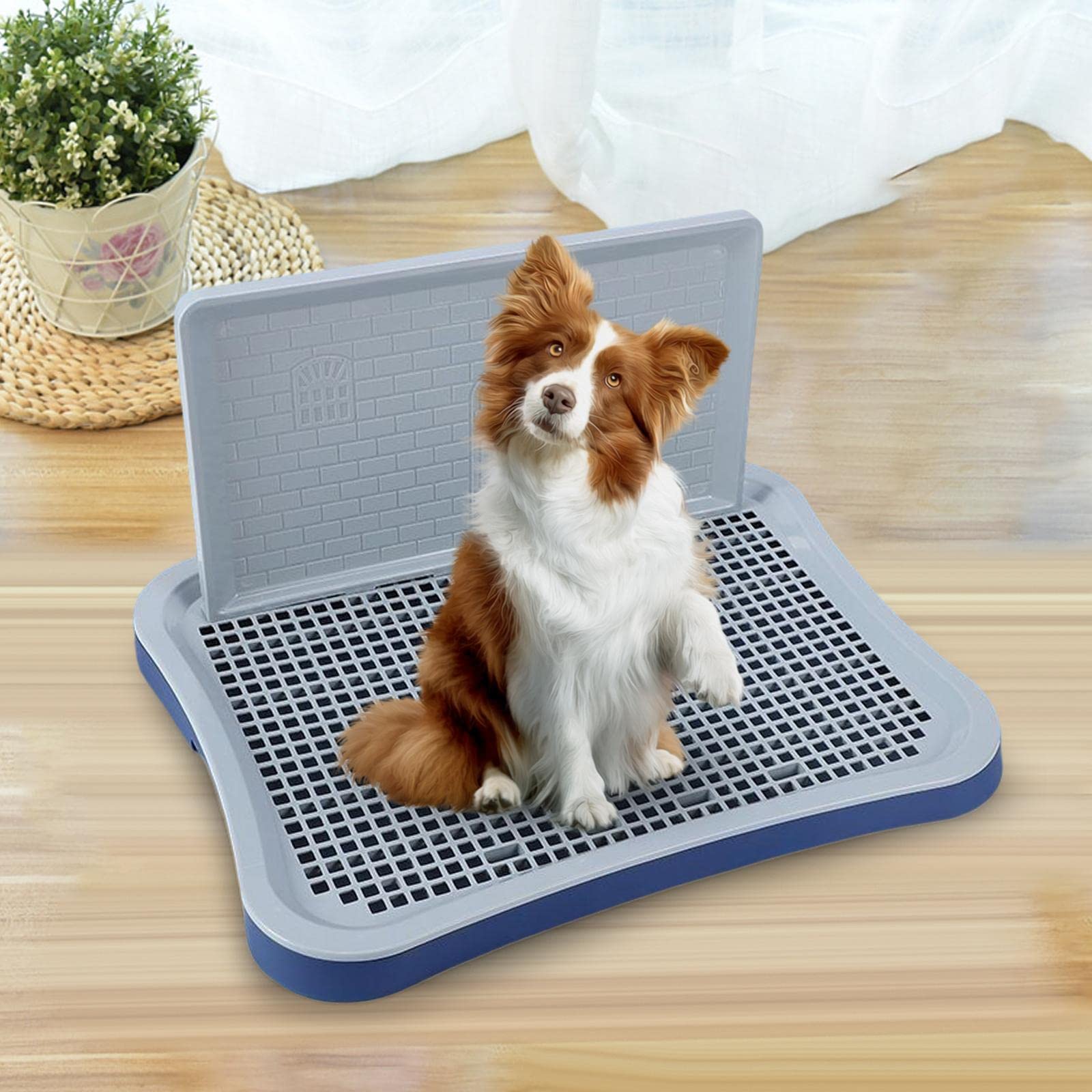 Bandeja para Perros Bandeja Higiénica Portátil en Material PP Bandeja de Entrenamiento Y Bordes Alfombrilla para