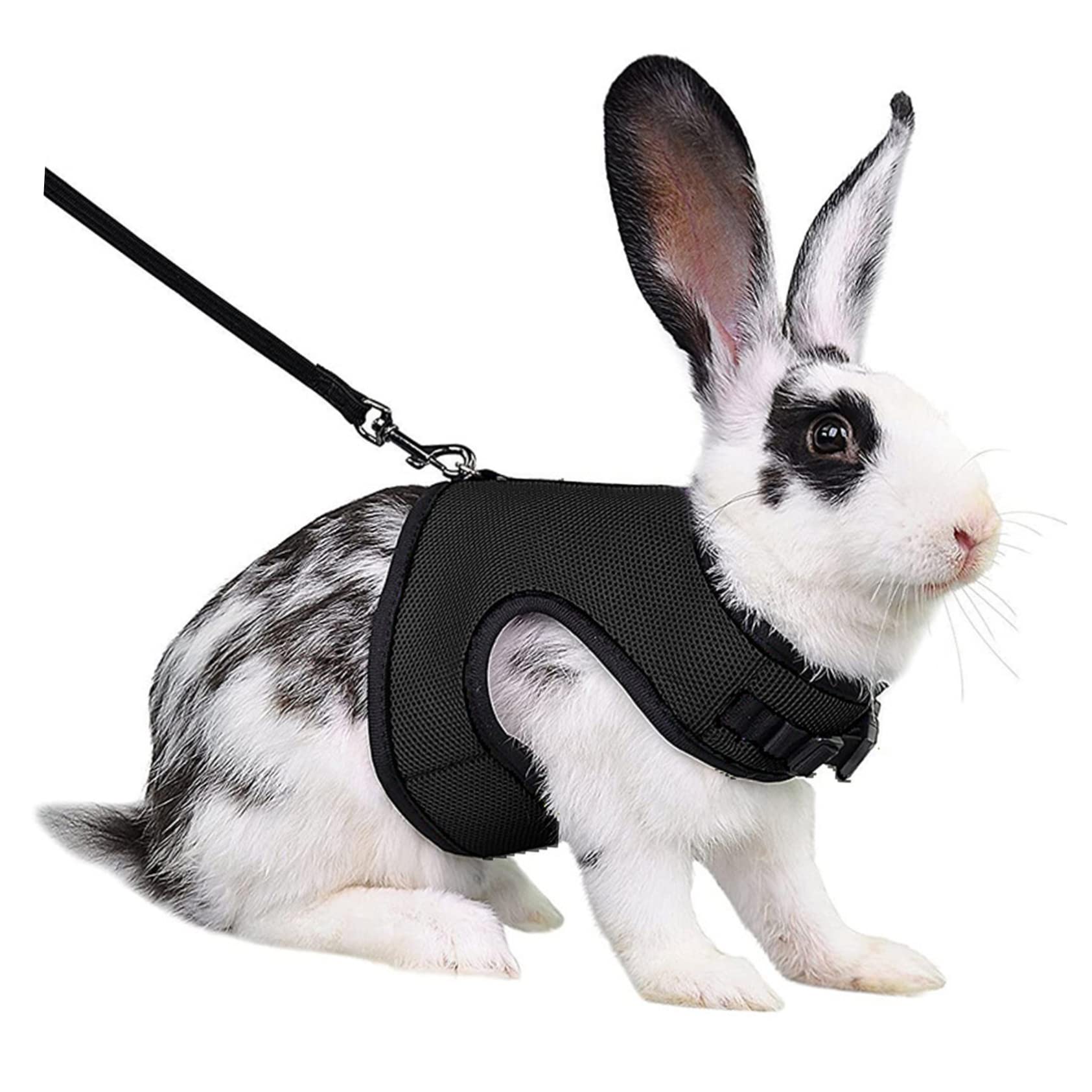 ABOOFAN 5 Ensembles Harnais de Lapin Jupe Chiot Gilet Lapin Laisse Corde de Marche de Fournitures de Marche de Cochon d'Inde Ceinture Anneau de chaîne Positionner Sangle