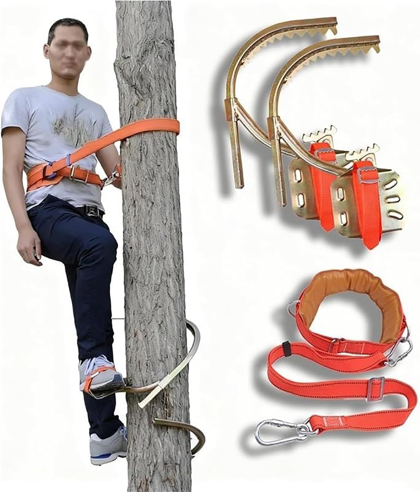 Portable Tree Climbing Spikes for Professional Tree Work, Fruit Picking, and Outdoor Jungle Training, Adjustable and Durable Equipment