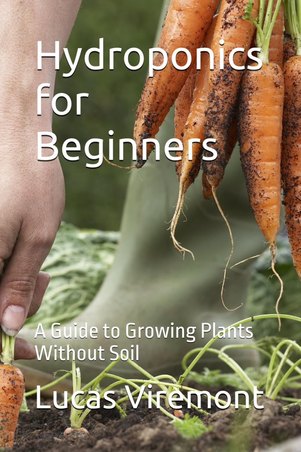 Hydroponics for Beginners: A Guide to Growing Plants Without Soil