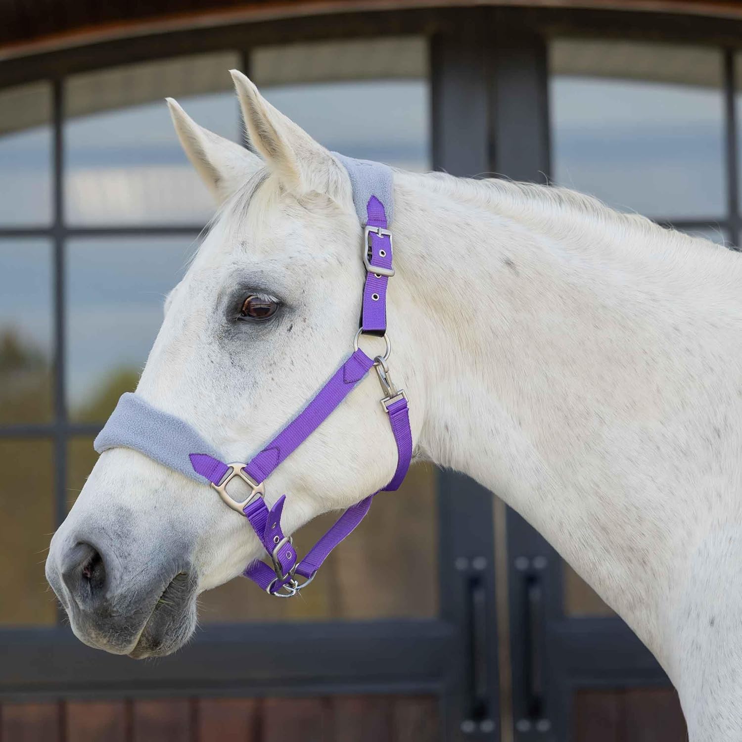 Equinavia Saga Fleece Padded Breakaway Halter - Deep Lavender/Slate Grey - Cob